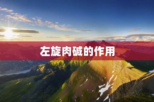 左旋肉碱的作用