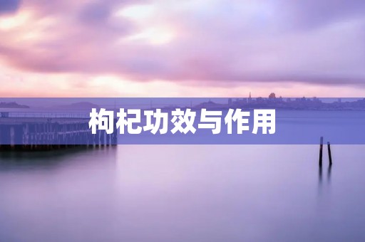 枸杞功效与作用：全面解析枸杞的健康价值