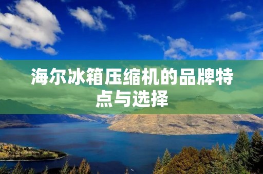 海尔冰箱压缩机的品牌特点与选择