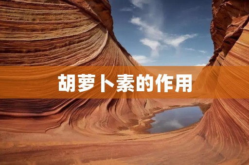 胡萝卜素的作用：探索胡萝卜素的营养与保健之道