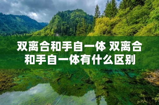 双离合和手自一体 双离合和手自一体有什么区别
