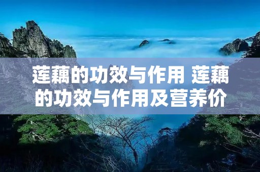 莲藕的功效与作用 莲藕的功效与作用及营养价值