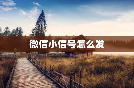 微信小信号怎么发