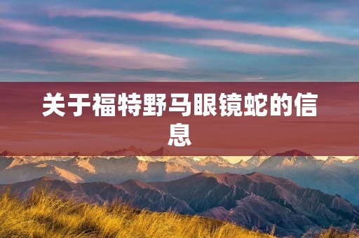 关于福特野马眼镜蛇的信息