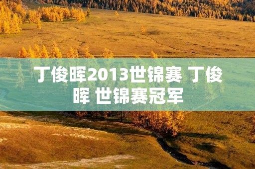 丁俊晖2013世锦赛 丁俊晖 世锦赛冠军 丁俊晖2013世锦赛 丁俊晖 世锦赛冠军