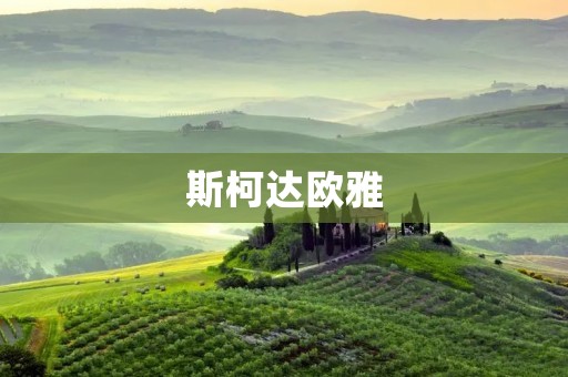 斯柯达欧雅:豪华与实用的完美结合 斯柯达欧雅:豪华与实用的完美结合