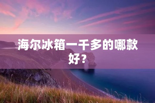 海尔冰箱一千多的哪款好？