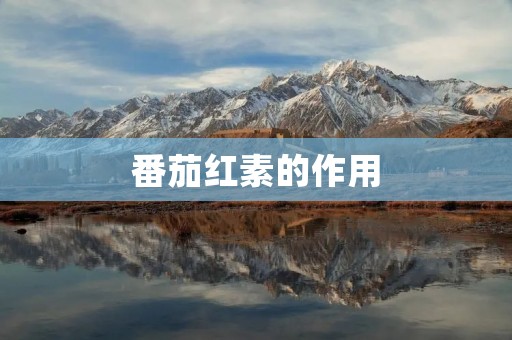番茄红素的作用