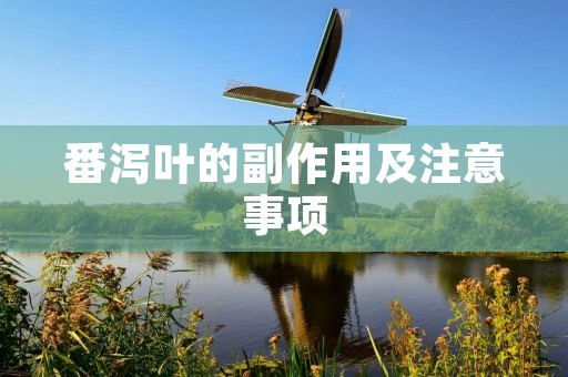 番泻叶的副作用及注意事项