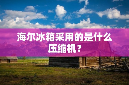 海尔冰箱采用的是什么压缩机？