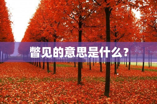 瞥见的意思是什么?