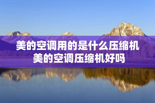 美的空调用的是什么压缩机 美的空调压缩机好吗 美的空调用的是什么压缩机 美的空调压缩机好吗