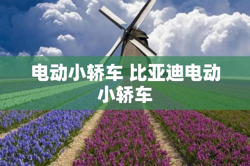 电动小轿车 比亚迪电动小轿车