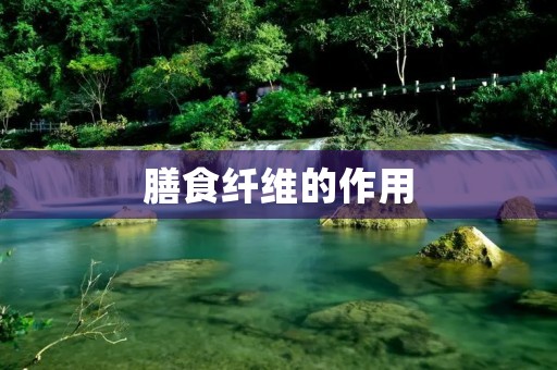膳食纤维的作用