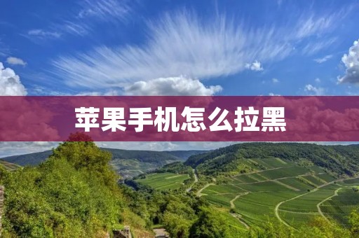 苹果手机怎么拉黑:详细解析及操作步骤
