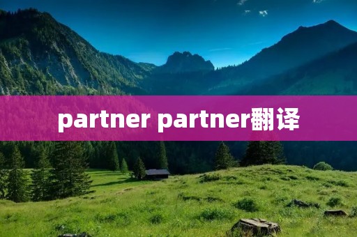 partner partner翻译 partner partner翻译