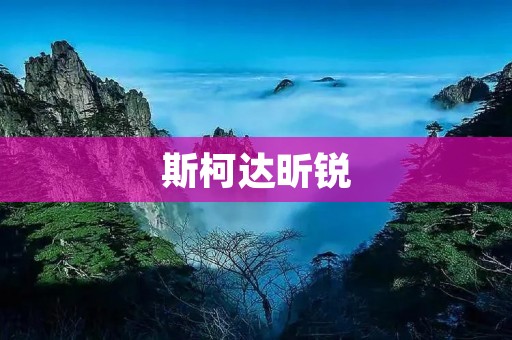 斯柯达昕锐:豪华与实用的完美结合 斯柯达昕锐:豪华与实用的完美结合
