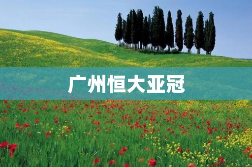广州恒大亚冠：亚洲足球巅峰的征程
