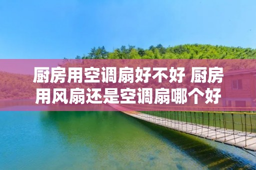厨房用空调扇好不好 厨房用风扇还是空调扇哪个好 厨房用空调扇好不好 厨房用风扇还是空调扇哪个好