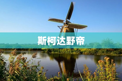 斯柯达野帝:一款领先技术与舒适体验的豪华SUV 斯柯达野帝:一款领先技术与舒适体验的豪华SUV