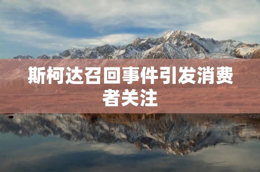 斯柯达召回事件引发消费者关注：详细描述