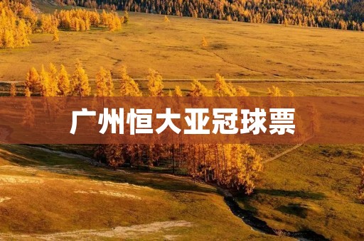 广州恒大亚冠球票：让你近距离感受亚洲足球盛宴