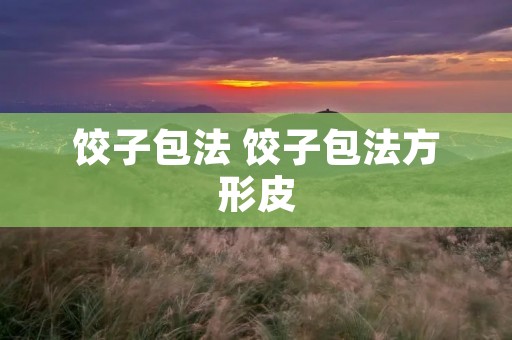 饺子包法 饺子包法方形皮