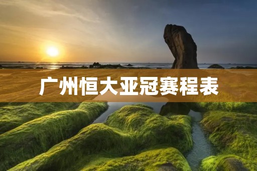 广州恒大亚冠赛程表:迎战亚洲豪强,冲击历史巅峰 广州恒大亚冠赛程表:迎战亚洲豪强,冲击历史巅峰