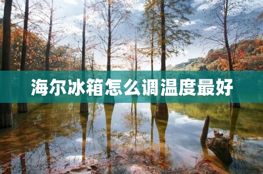 海尔冰箱怎么调温度最好