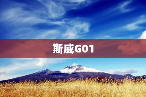 斯威G01:开启智能出行新篇章 斯威G01:开启智能出行新篇章