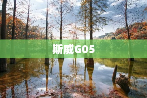 斯威G05:高颜值SUV,带你开启尊贵之旅 斯威G05:高颜值SUV,带你开启尊贵之旅