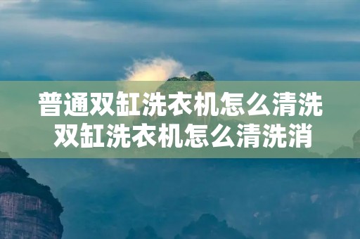 普通双缸洗衣机怎么清洗 双缸洗衣机怎么清洗消毒 普通双缸洗衣机怎么清洗 双缸洗衣机怎么清洗消毒