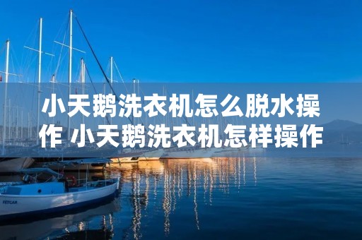 小天鹅洗衣机怎么脱水操作 小天鹅洗衣机怎样操作脱水