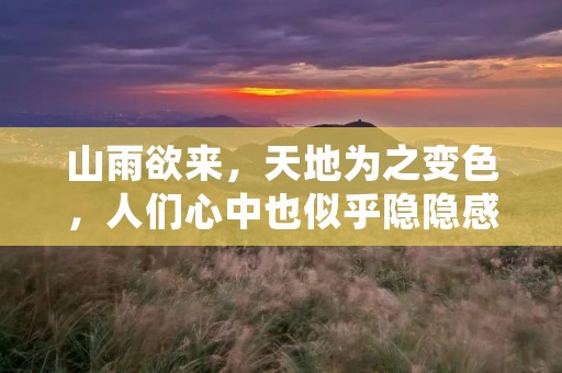 山雨欲来,天地为之变色,人们心中也似乎隐隐感受到了一丝不安。这种不安或许是对未知的恐惧,又或许是对即将到来的变故的预感。无论是自然界的变化还是人事纷争,山雨欲来的时候总是会有一种紧张的氛围弥漫在空气中。