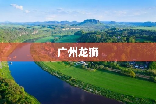 广州龙狮：**燃烧的篮球狂欢