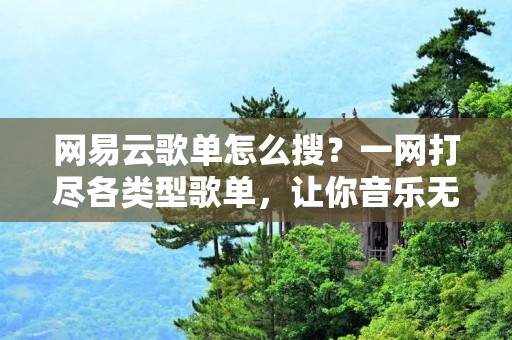 网易云歌单怎么搜?一网打尽各类型歌单,让你音乐无忧!