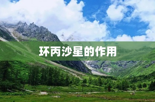 环丙沙星的作用