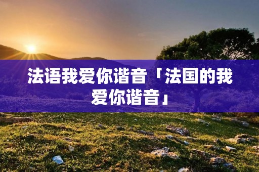 法语我爱你谐音「法国的我爱你谐音」