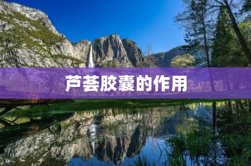 芦荟胶囊的作用：从内到外呵护你的健康