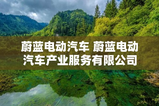 蔚蓝电动汽车 蔚蓝电动汽车产业服务有限公司 蔚蓝电动汽车 蔚蓝电动汽车产业服务有限公司