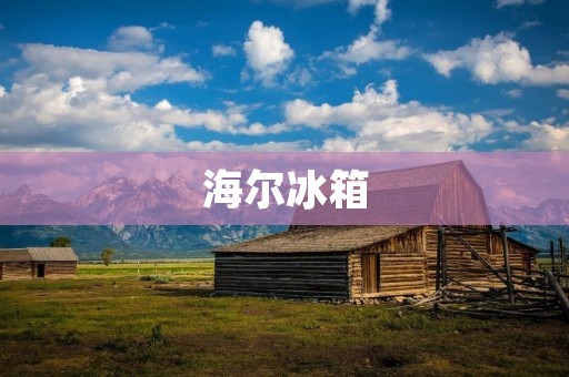 海尔冰箱:品质与创新的完美结合 海尔冰箱:品质与创新的完美结合
