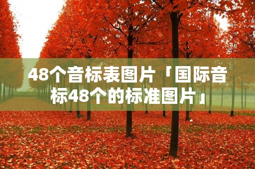 48个音标表图片「国际音标48个的标准图片」