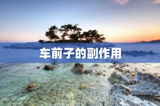车前子的副作用：了解车前子的不良反应