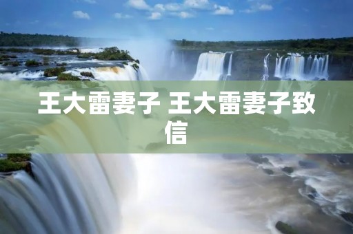 王大雷妻子 王大雷妻子致信