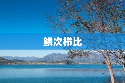 鳞次栉比:探寻万物繁华的秘密