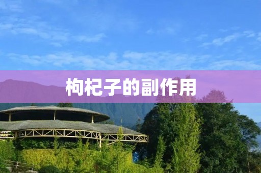 枸杞子的副作用：你需要知道的六个方面