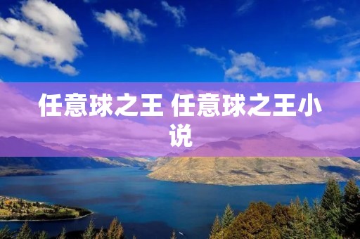 任意球之王 任意球之王小说