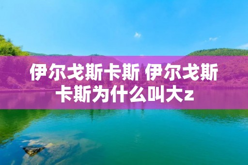 伊尔戈斯卡斯 伊尔戈斯卡斯为什么叫大z 伊尔戈斯卡斯 伊尔戈斯卡斯为什么叫大z