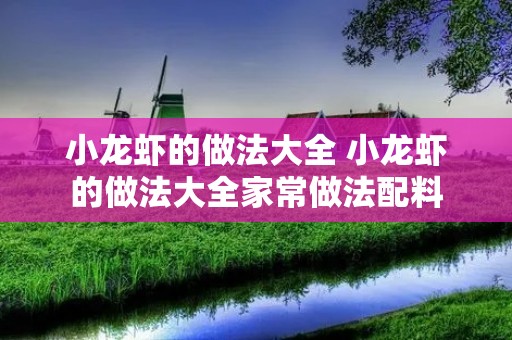 小龙虾的做法大全 小龙虾的做法大全家常做法配料