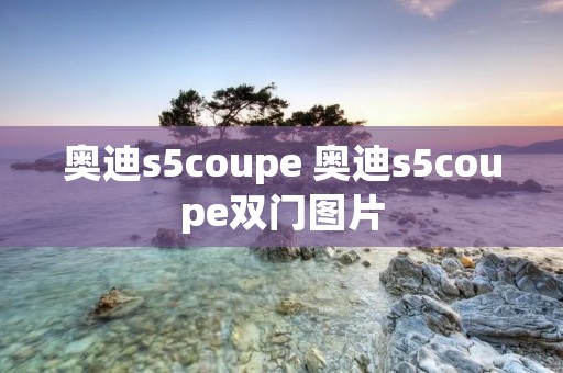 奥迪s5coupe 奥迪s5coupe双门图片